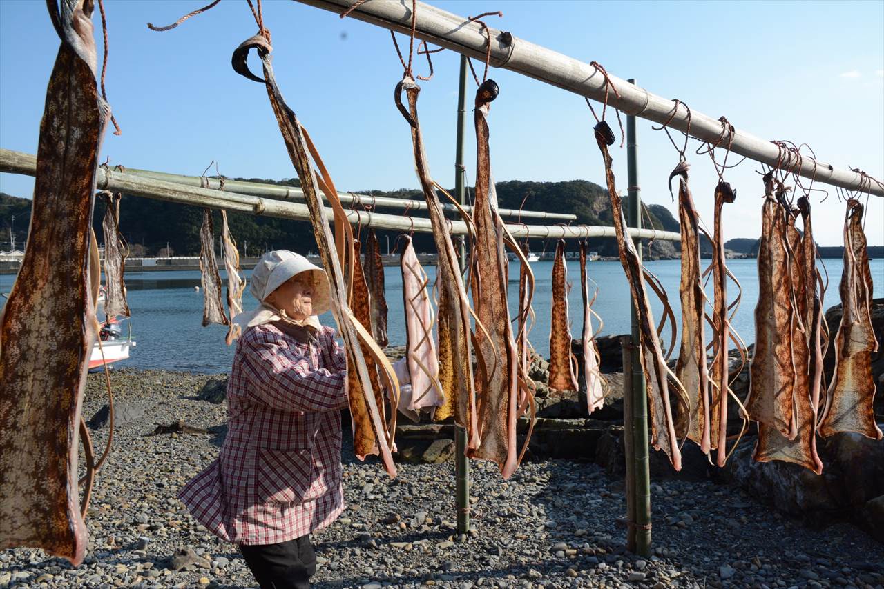 ウツボの天日干し