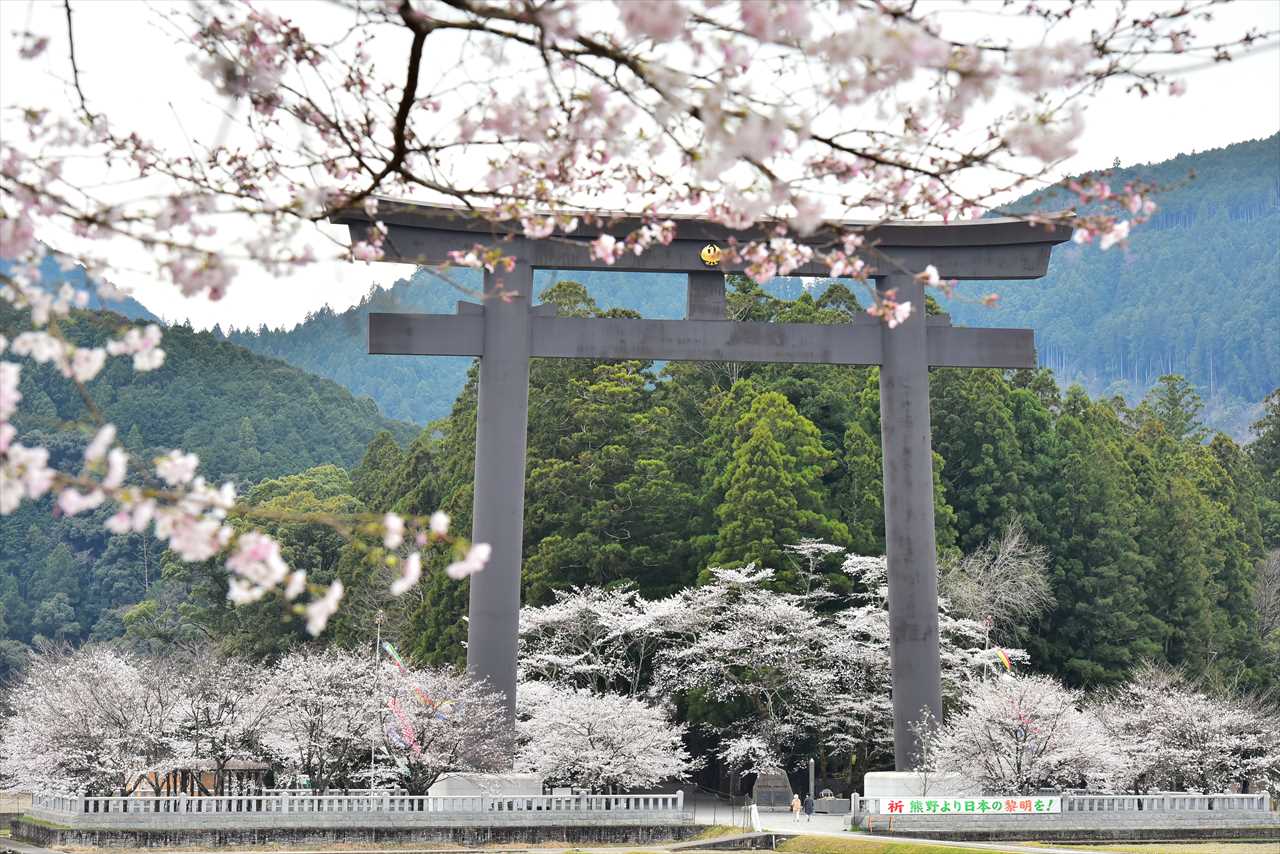 春の熊野 桜巡りの旅 - 地域の人がすすめる熊野古道の新たな魅力100選 