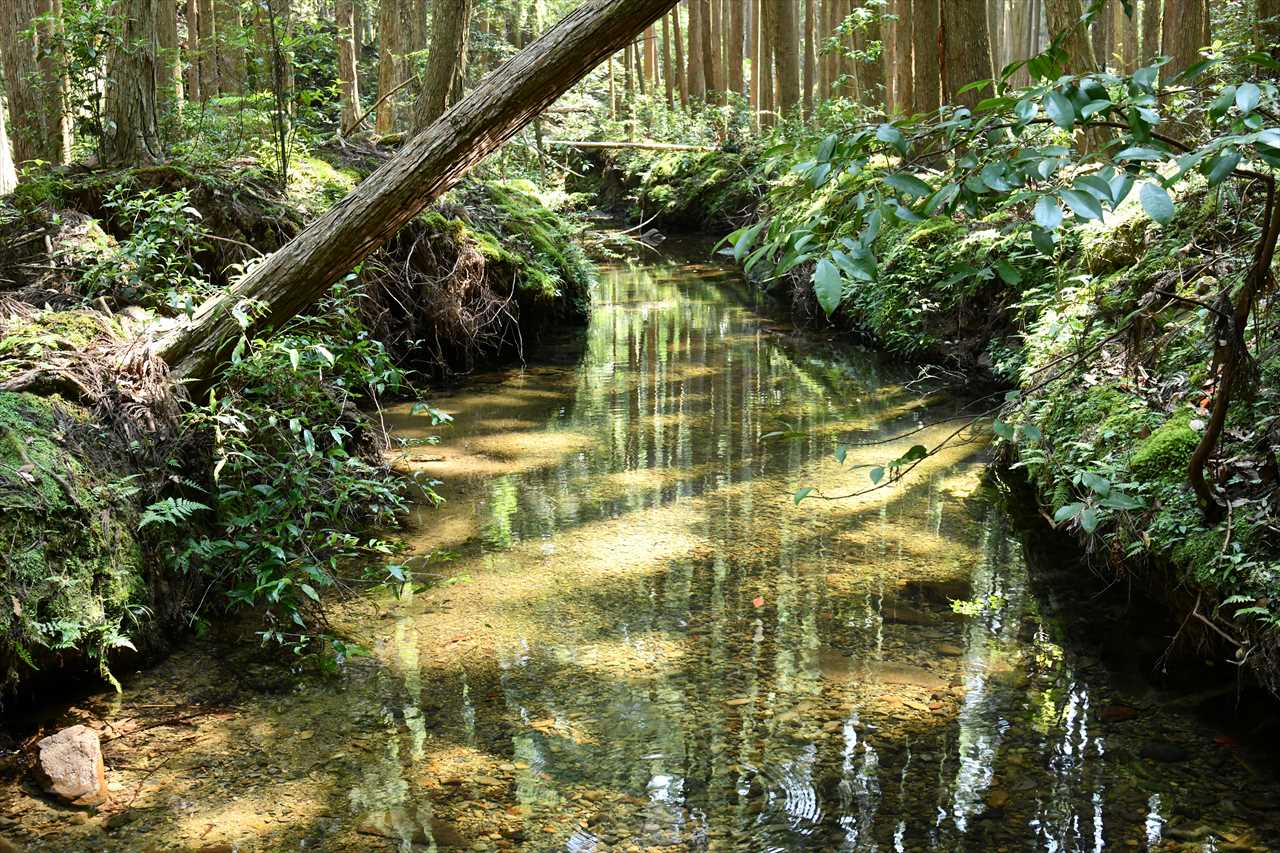 佐部の渓流